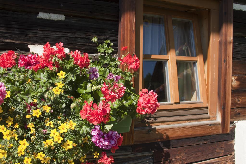 Schrunerhof Ebene Reichenau Rom bilde