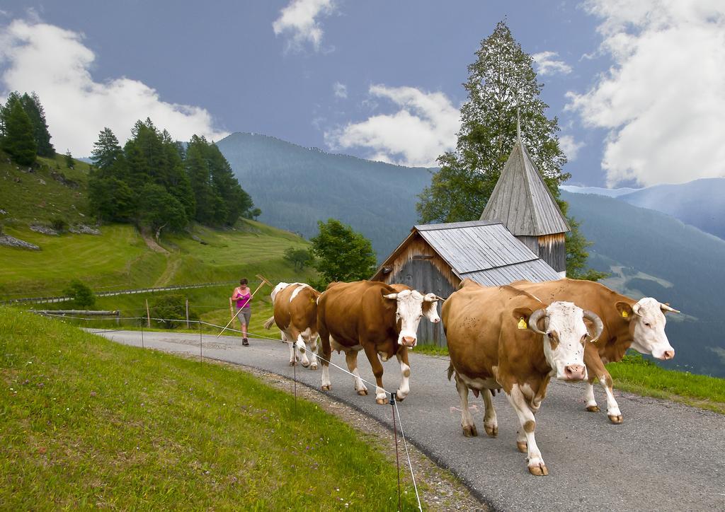 Schrunerhof Ebene Reichenau Rom bilde