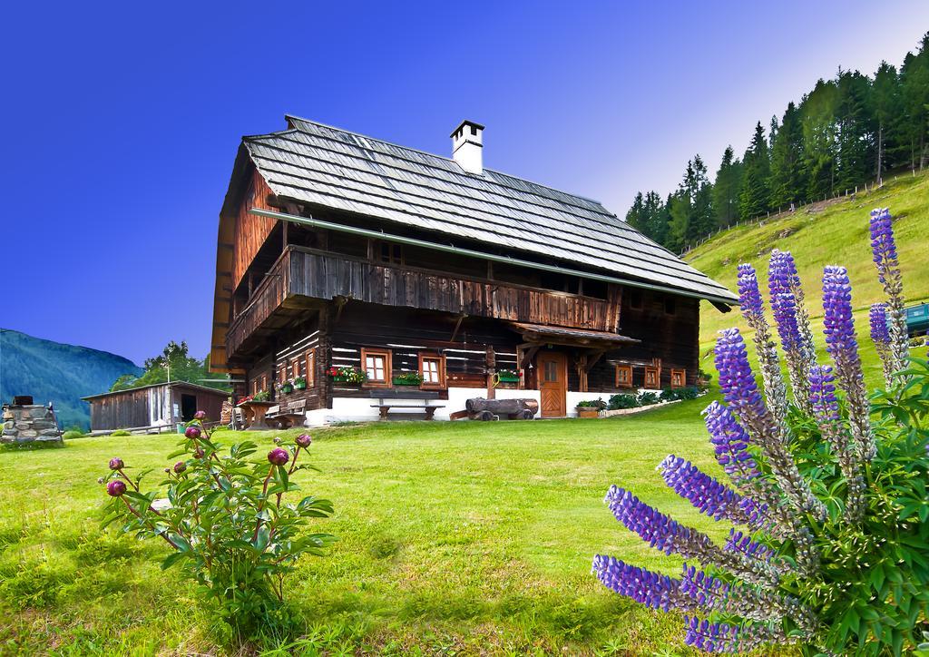 Schrunerhof Ebene Reichenau Rom bilde