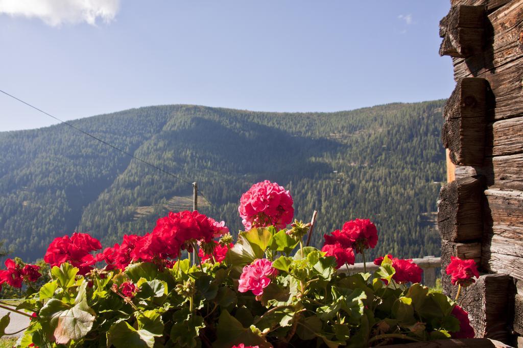 Schrunerhof Ebene Reichenau Rom bilde