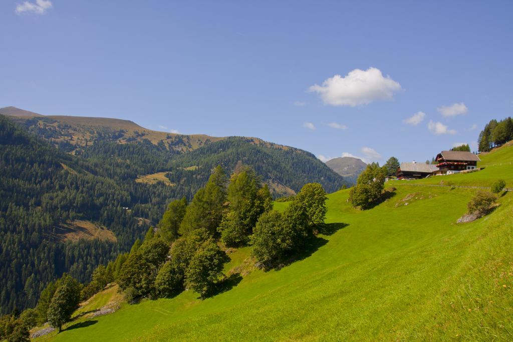 Schrunerhof Ebene Reichenau Rom bilde
