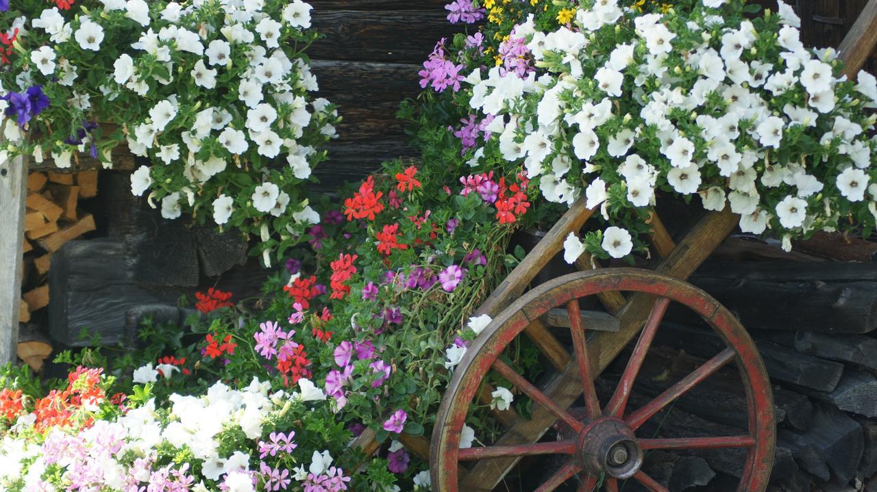 Schrunerhof Ebene Reichenau Eksteriør bilde