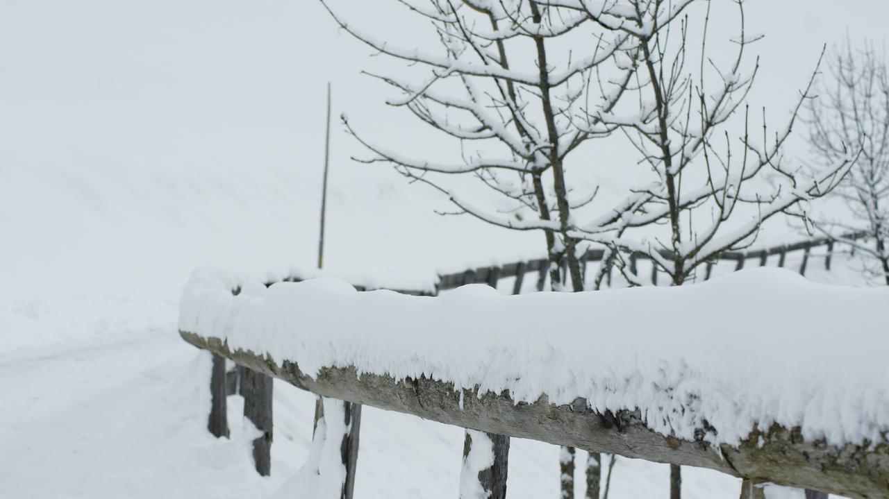 Schrunerhof Ebene Reichenau Eksteriør bilde
